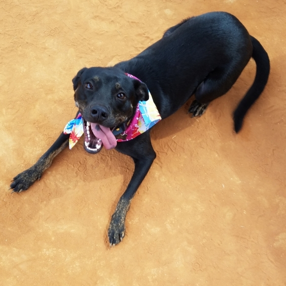 Hey, y'all 🍑 - Picture 7 of 13